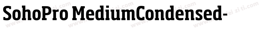 SohoPro MediumCondensed字体转换